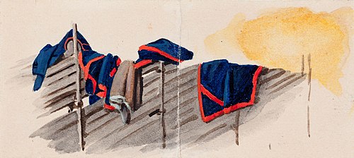 Klädesplagg upphängda på en gärdsgård, , Ferdinand von Wright