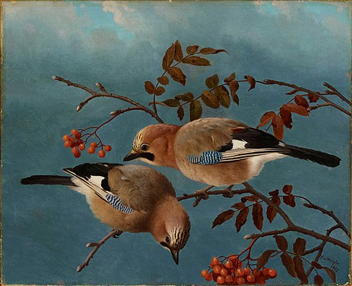 Jays, 1877, Ferdinand von Wright