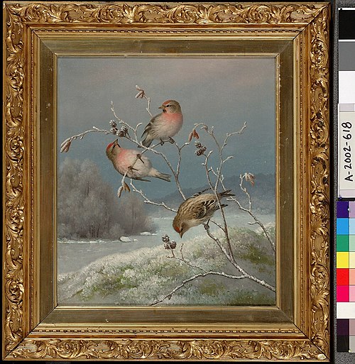 Mealy Redpolls, 1889, Ferdinand von Wright