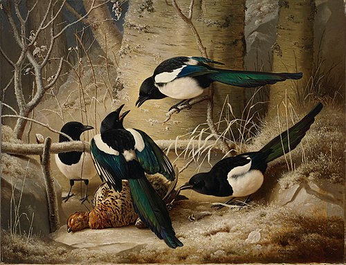 Magpies round a Dead Woodgrouse, 1867, Ferdinand von Wright