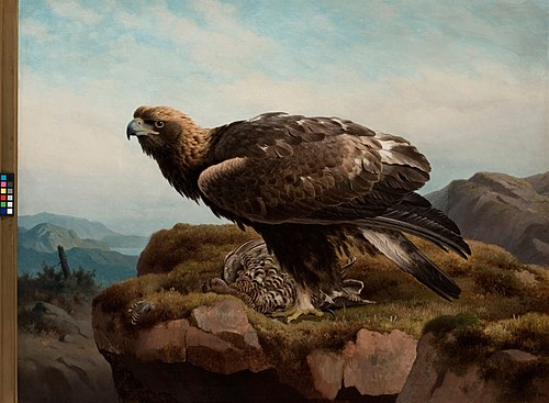 Örn vid stup, 1880, Ferdinand von Wright