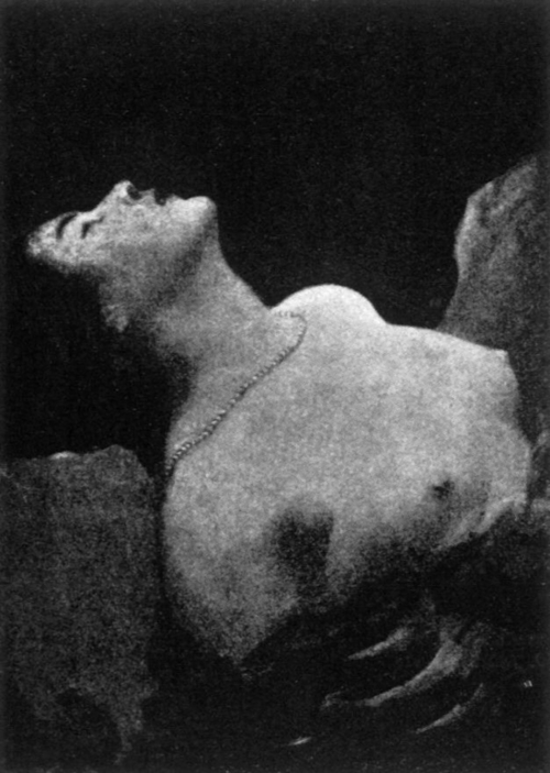 Sensual Frenzy, 1890, Franciszek Żmurko
