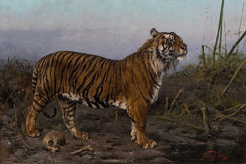 Royal Tiger, , Géza Vastagh
