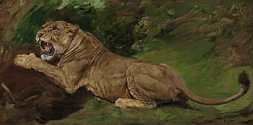 A lioness ready to pounce, , Géza Vastagh