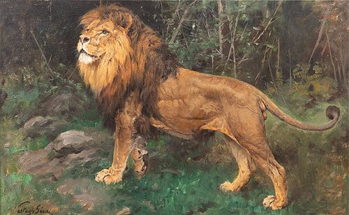 Lion, , Géza Vastagh