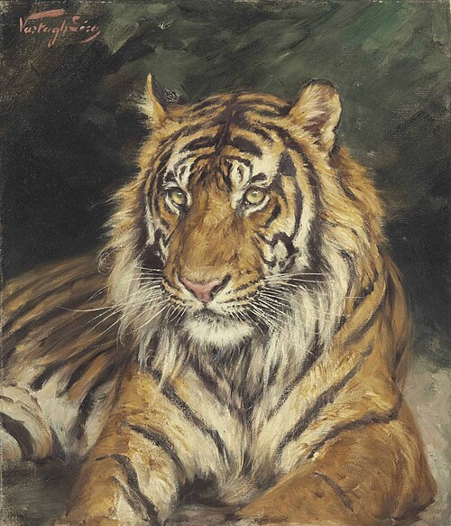 A reclining tiger, , Géza Vastagh