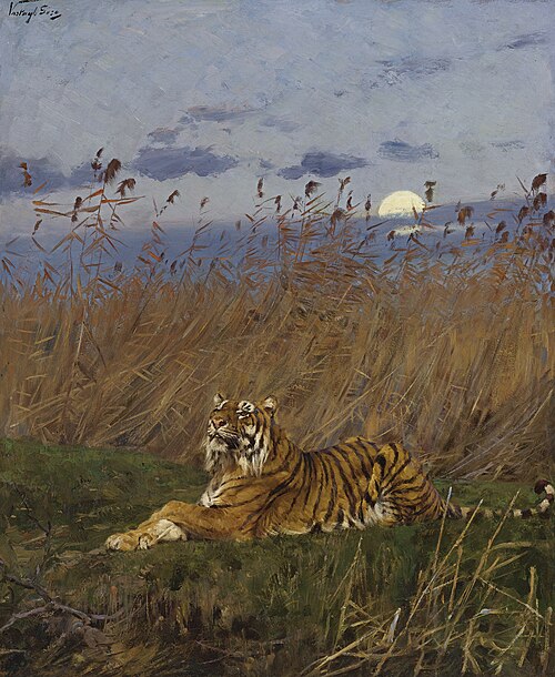 A Tiger among rushes in the moonlight, , Géza Vastagh