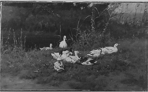 Enten, 1890, Géza Vastagh