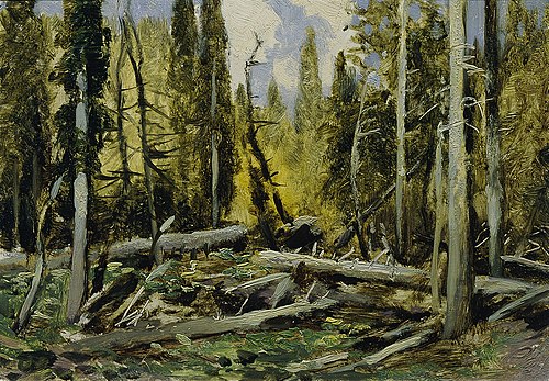 Böhmerwald (aus der Mappe „16 Ansichten tschechischer Landschaften 'Česka Krajiná'“), 1902, Ferdinand Engelmüller