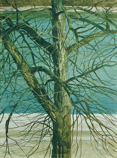 Baumstudie an der Donau, 1926, Klemens Brosch