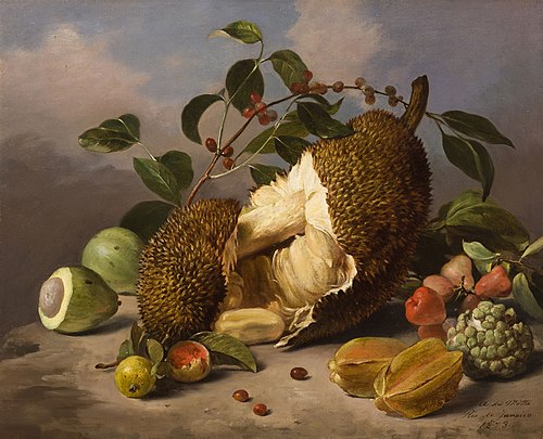 Natureza-morta com frutas (atribuído), 1873, Agostinho José da Mota
