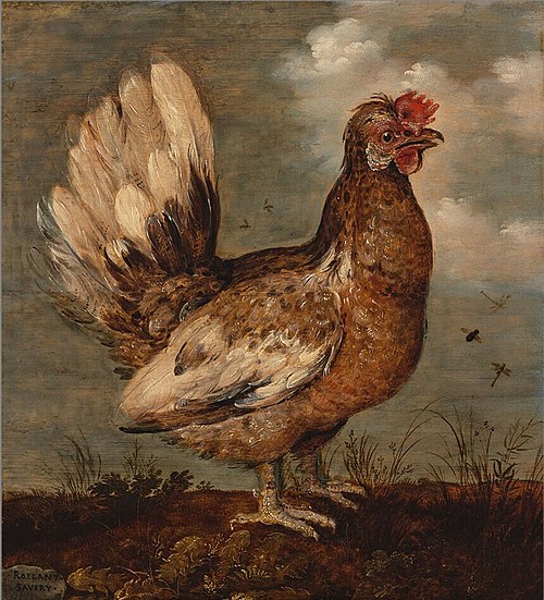 A Little Hen, 1700, Roelant Savery