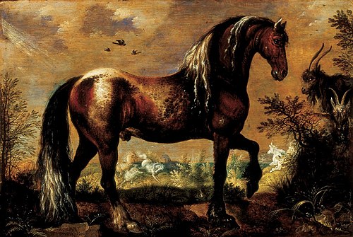 Horse in a Landscape, 1622, Roelant Savery