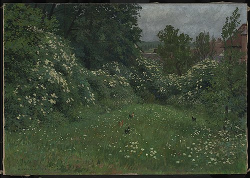 Hollerblüte, 1908, Hans von Volkmann