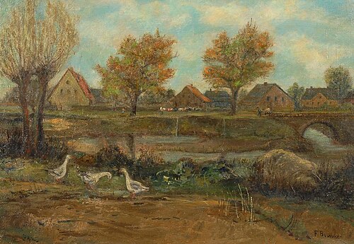 Ansicht Schwaan, , Franz Bunke
