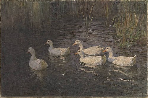 Enten II, 1902, Franz Gräßel