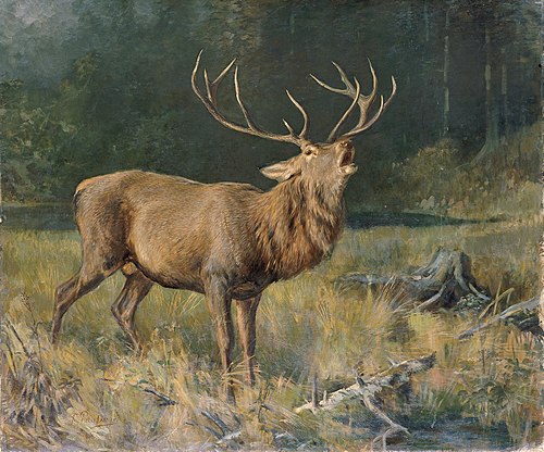 Rutting stag, 1850, Franz Xaver von Pausinger