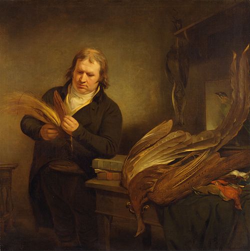 An Ornithologist, 1802, Ramsay Richard Reinagle