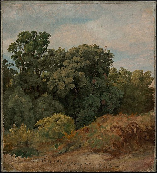 Study of a Clump of Trees, 1848, Jasper Francis Cropsey