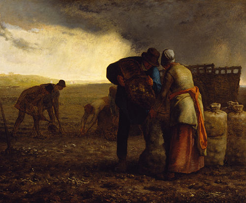 The Potato Harvest, 1855, Jean-François Millet