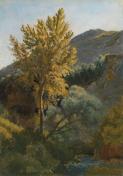Study of a tree near a torrent in Italy, , Jean-Baptiste Camille Corot