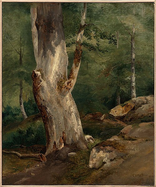 Old Beech Tree, 1829, Jean-Baptiste Camille Corot