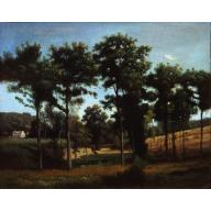 Environs de Ville-d'Avray, 1860, Jean-Baptiste Camille Corot