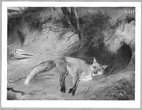 Dead fox, 1823, Carl Blechen
