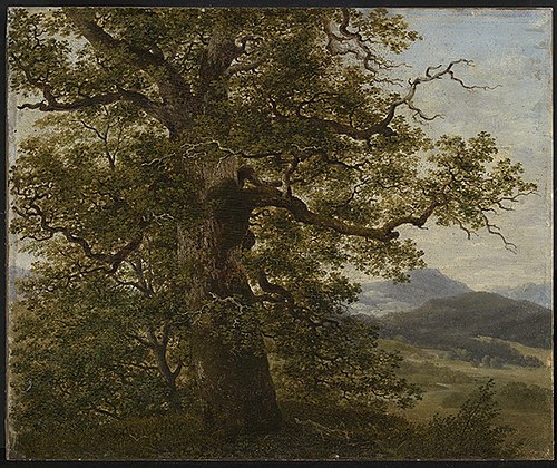Eichbaum in Landschaft, , Georg Wilhelm Issel