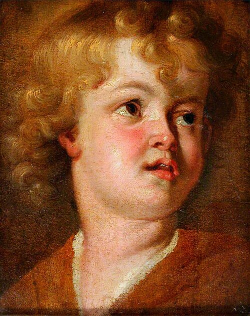 Head of a Youth, , Antoine van Dyck