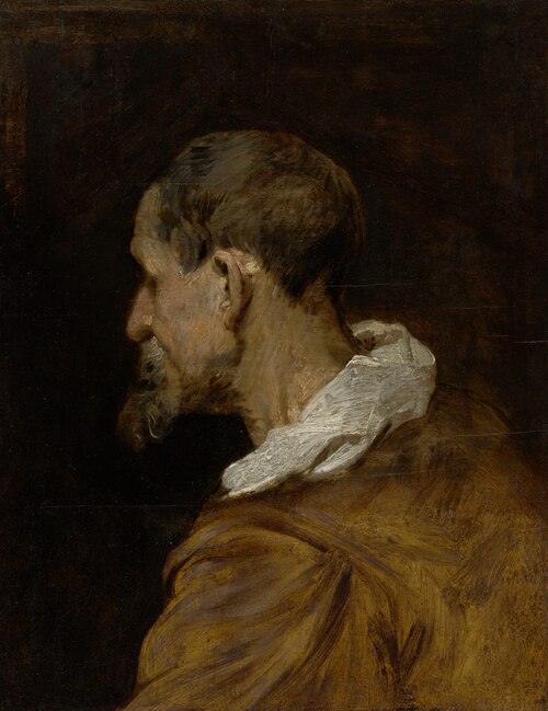 Study Head, 1619, Antoine van Dyck