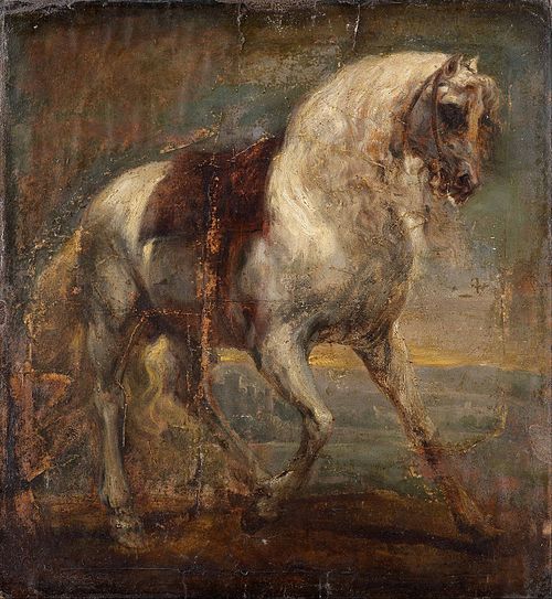 A Grey Horse, 1641, Antoine van Dyck