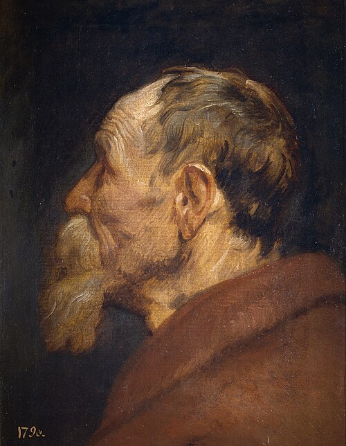 Tête de vieil homme, 1618, Antoine van Dyck