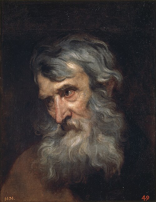 Tête de vieil homme, 1618, Antoine van Dyck