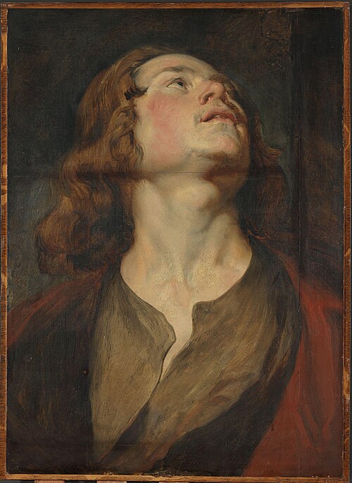 Head of Saint John, 1640, Antoine van Dyck