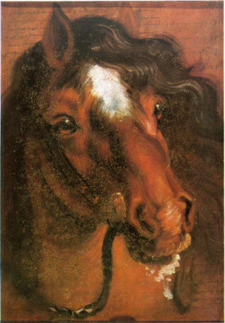 Horse Head, 1640, Antoine van Dyck