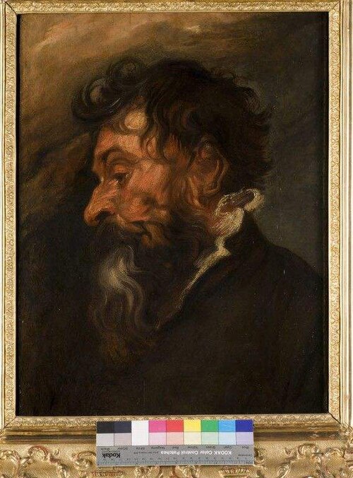 Tête d'Homme, 1616, Antoine van Dyck