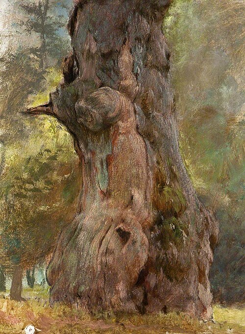 A Gnarled Tree Trunk, , George Elgar Hicks