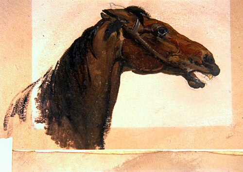 Horse's Head, 1836, George Harvey