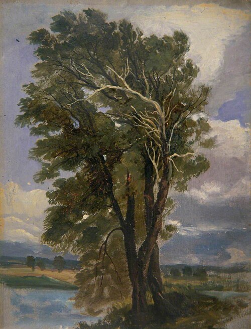 Study of Trees, 1845, George Harvey