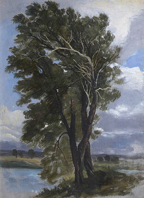 Trees in a Wind, 1845, George Harvey