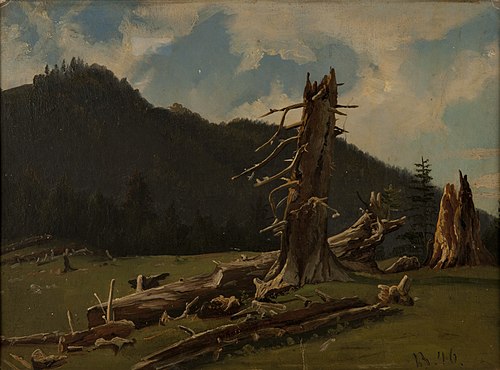 Landskap med døde trær, 1846, Knut Andresen Baade