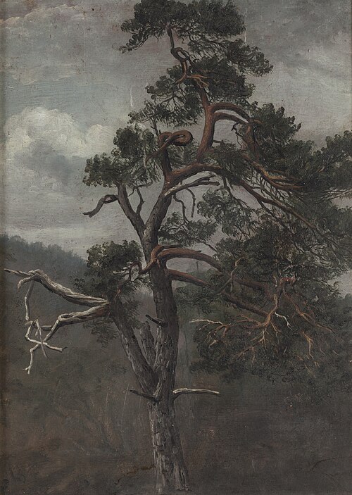Furutre, 1835, Knut Andresen Baade