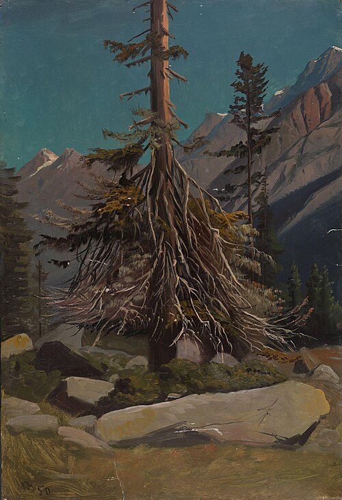 Study of Trees in the Alps, 1850, Knut Andresen Baade
