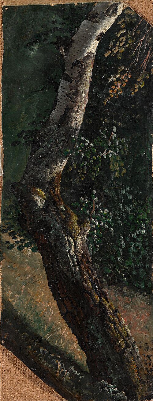 Study of a Birch Tree, 1833, Knut Andresen Baade