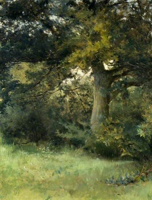 An Oak Tree, Green Hedges, East Grinstead, Sussex, 1896, Sarah Paxton Ball Dodson