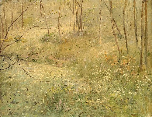 Wild Parsley, 1876, Sarah Paxton Ball Dodson