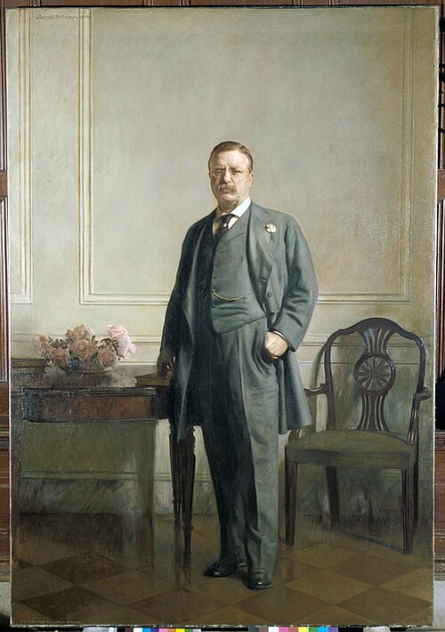 Theodore Roosevelt (1858-1919), 1908, Joseph DeCamp