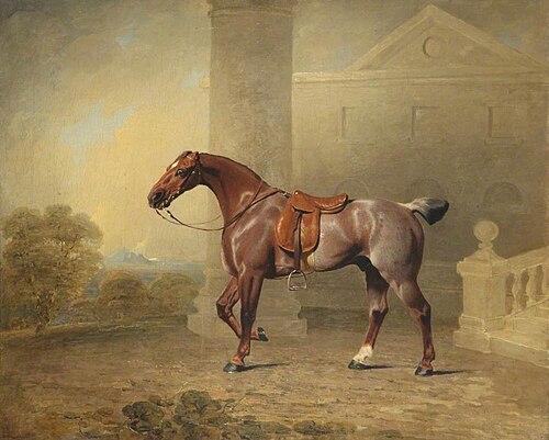 The Prince of Wales's Favourite Roan Hack, 1800, Benjamin Marshall