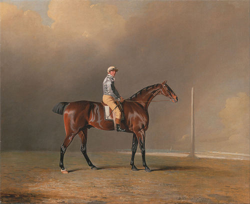 Diamond, with Dennis Fitzpatrick Up, 1799, Benjamin Marshall